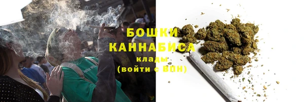 дурь Краснослободск
