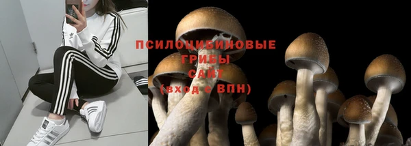 2c-b Краснотурьинск