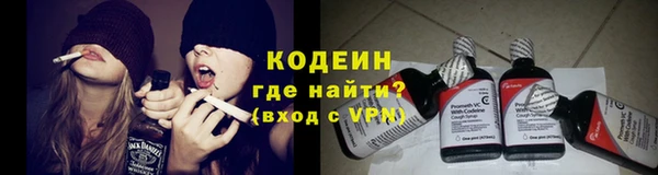 дурь Краснослободск