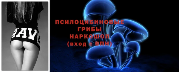 дурь Краснослободск