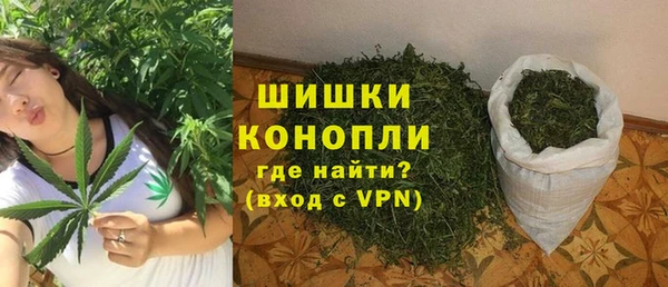дурь Краснослободск