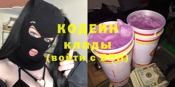 дурь Краснослободск